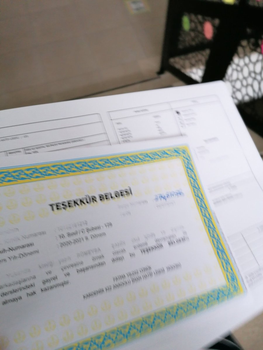 SİZCE BEN KARNEM YANLIŞLIKLA TAKDİR BASILDIĞI İÇİN HOCAYA BENİM Kİ TEŞEKKÜRDÜ DİYİP TEKRARDAN TEŞEKKÜR BELGESİ BASTIRIP TAKDİRİN ÇÖPE GİTMESİNE RAZI OLMUŞMUYUMDUR