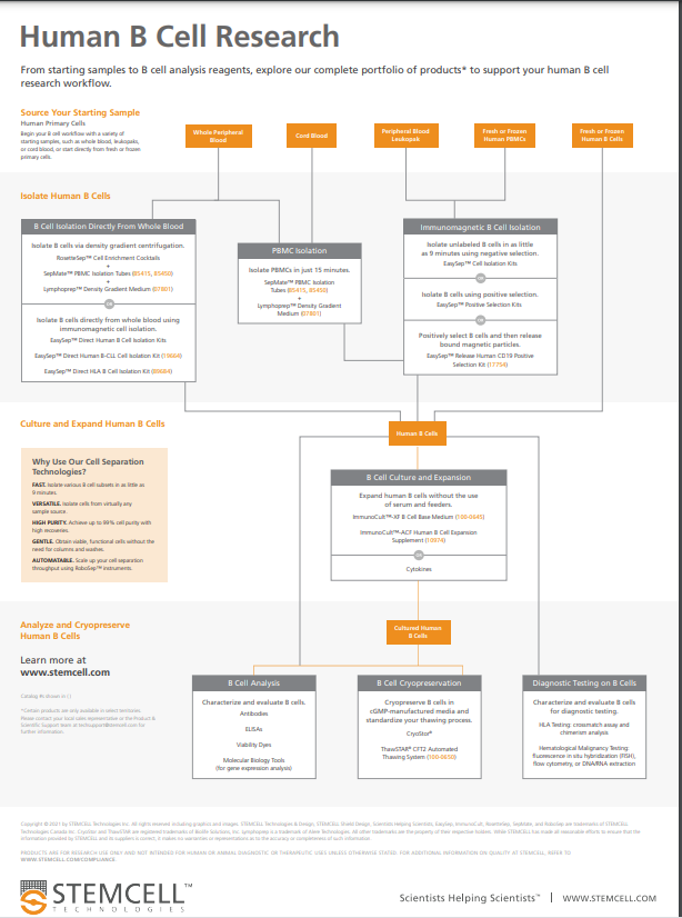 amiasharpatel's tweet photo. From starting samples to B cell analysis reagents, explore STEMCELL Technologies complete portfolio of products to support your human B cell research workflow! 

Contact me if you are interested in learning more. https://t.co/KgVpZyjeYG