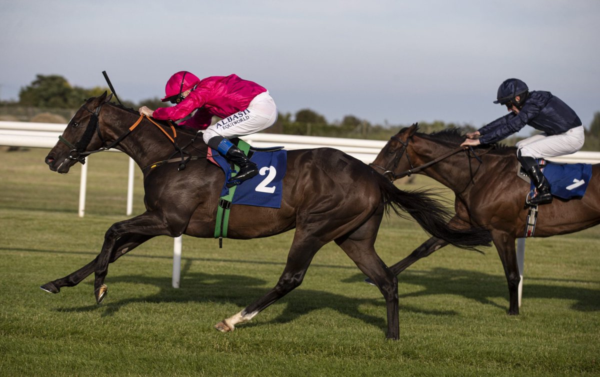 Weekly Racing News Chris Hayes Takes the victory in the Lenebane Stakes