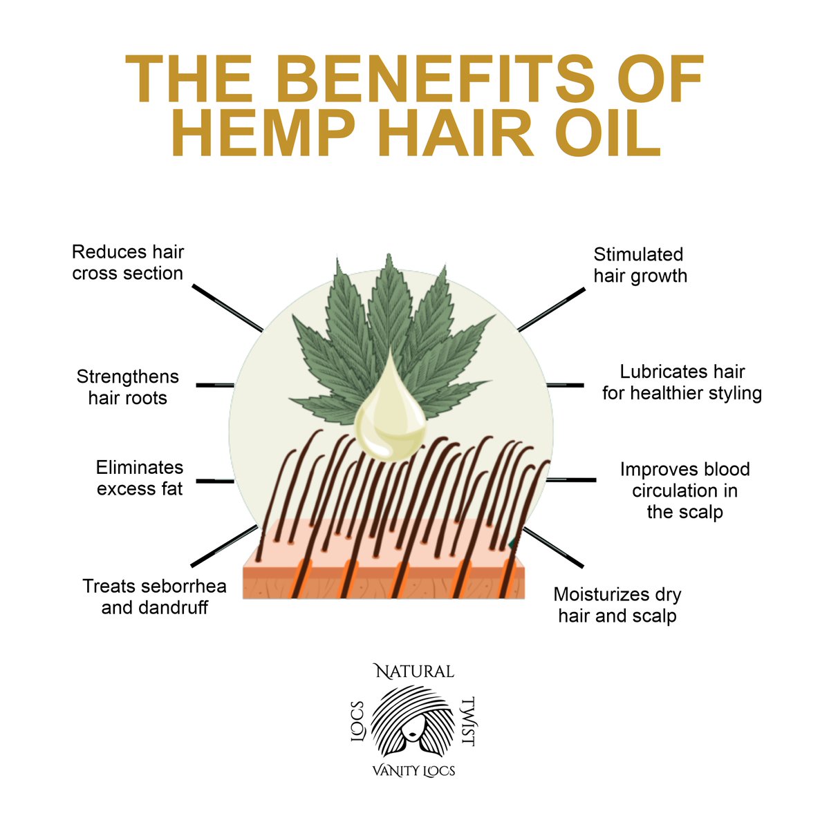 LocsVanity's tweet photo. Rich in omega 3, 6, and 9, hemp is packed with fatty acids that are necessary for maximizing hair growth. Scalp massage with oils such as hemp also promotes blood circulation.
----
🌐 https://t.co/lxHWCEnJv4
.
#vanitylocs #dreadlocks #naturalhair #haircare #selflove #selfcare https://t.co/yA1VAjDkEq