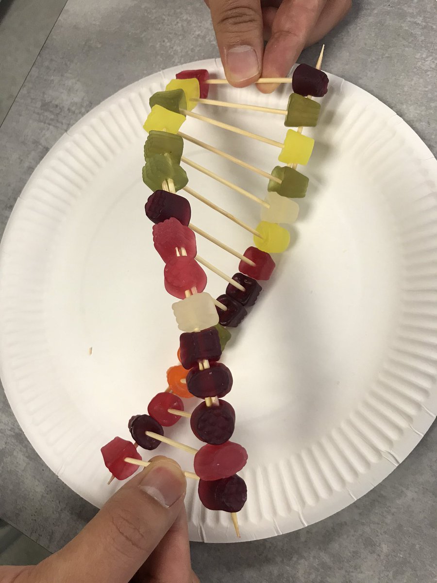 TNAScience tweet media