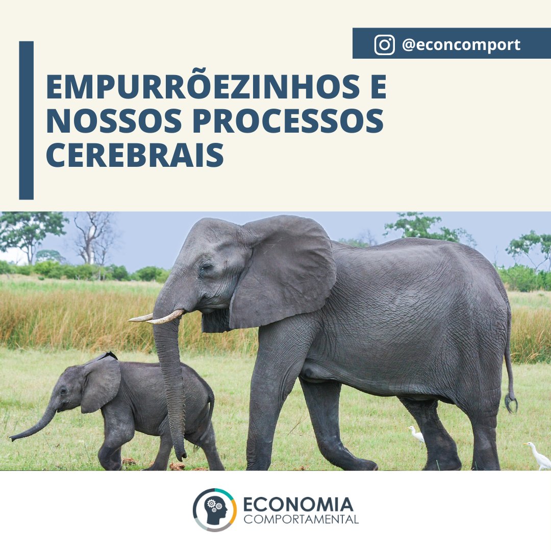 Econ. Comportamental tweet media