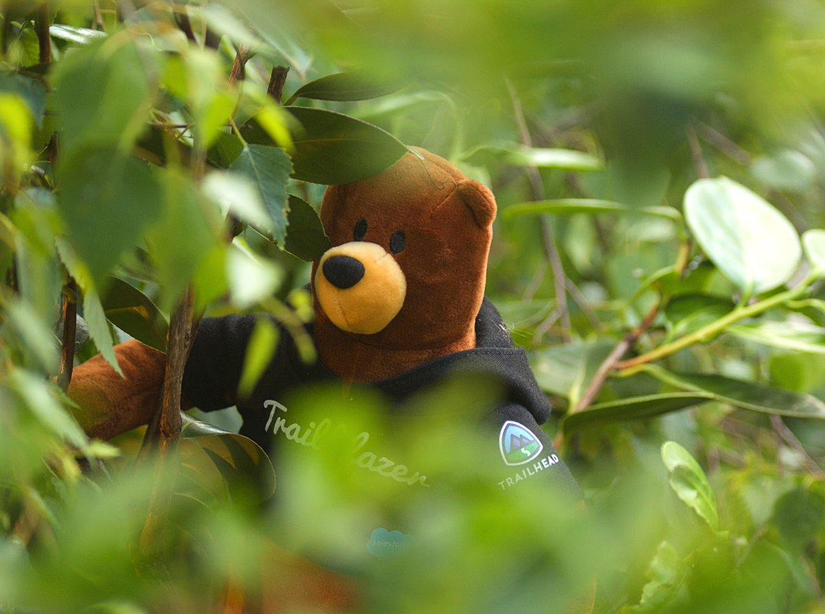 SalesforceUK's tweet photo. Codey has been scouting for the perfect spot to watch #SalesforceLive 🇬🇧🇮🇪 from...

https://t.co/BZ7QM5Ab0g https://t.co/CcBzXmWt5S
