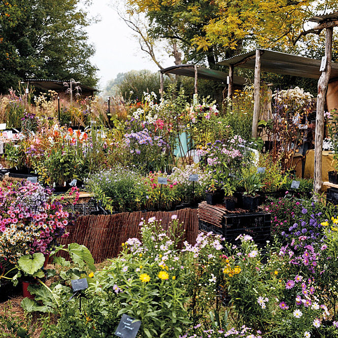 We look forward to welcoming you to our first summer Plant Fair this weekend, 10th &amp; 11th July. Please visit the website for advance tickets and info greatdixter.co.uk