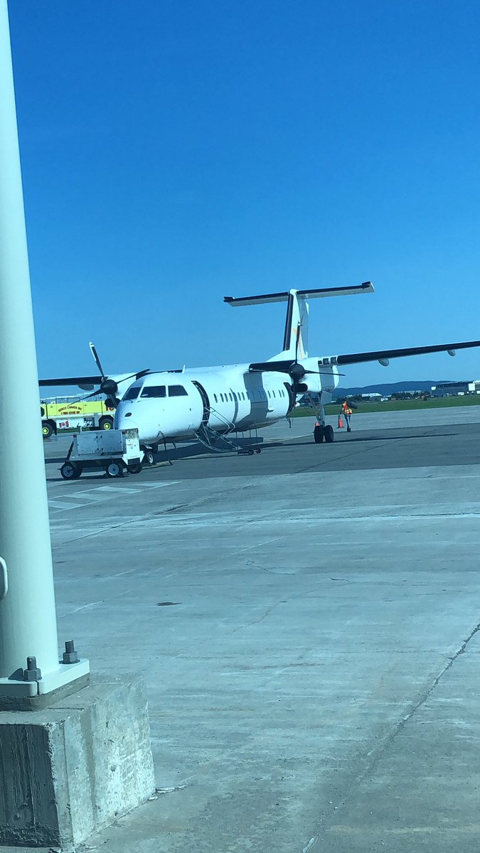 Janine Browne tweet media