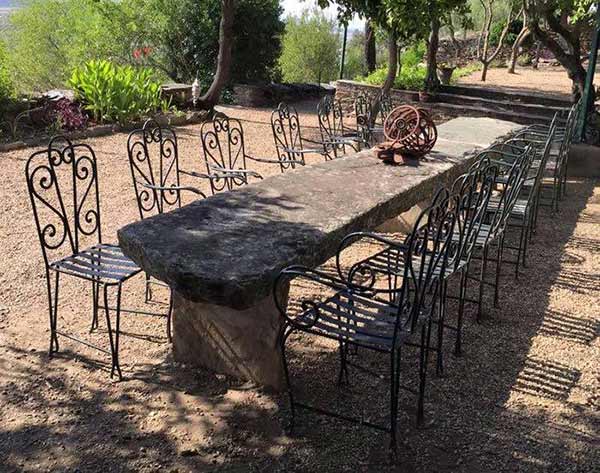 Paramount Plants tweet media