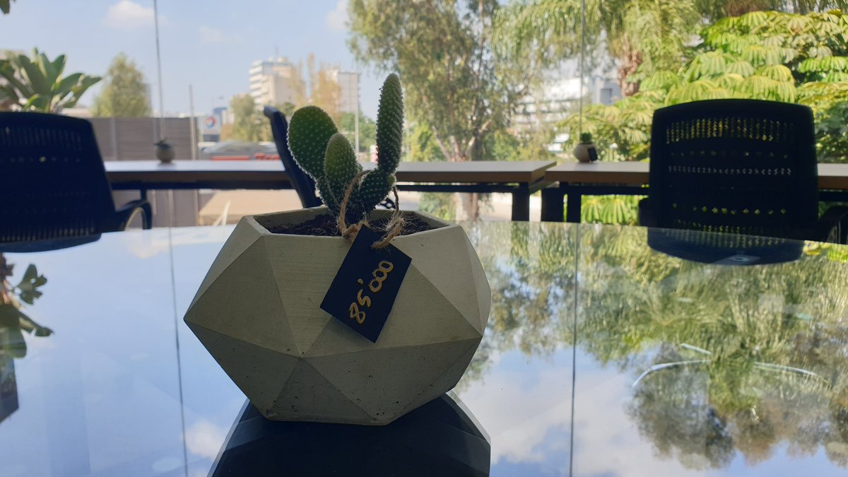 LebFreelancers's tweet photo. Welcome our new little guests at Smart Space 🌵
Not only they add spirit to the work environment, but also they are here as support to our flower shop neighbor.
The deal is:
➡️ He provides decorative plants for desks
⬅️ Freelancers can actually buy and take them home
😁 https://t.co/aMAx5uJHRK