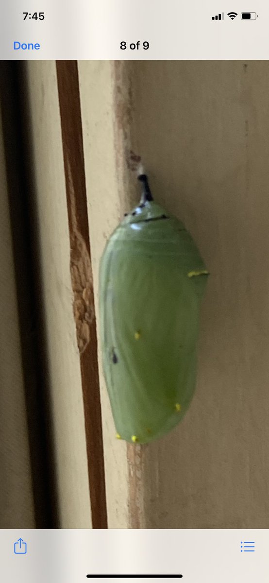 Getting near time!!! Omgosh!❤️🦋

How it started!          How it’s going!