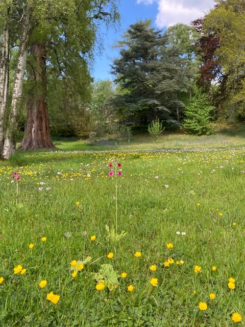 Read Stuart and Susannah’s very entertaining and honest progress reports and the challenges of making their dream a reality: coulhousehotel.com/coul-house-pro… #scottishhighlandshotel #scottishcountryhousehotel #NC500Hotel #NorthCoast500hotel #visitscotland #petfriendlyhotelscotland