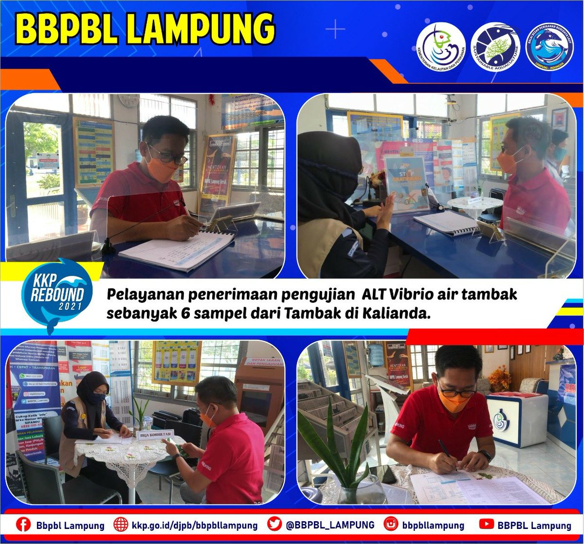 BBPBL_LAMPUNG's tweet photo. Senin, 06 07 2021. Pelayanan Publik BBPBL Lampung melakukan penerimaan pengujian ALT Vibrio air tambak sebanyak 6 sampel dari Tambak di Kalianda.
#akuakulturberkelanjutan
#akuakulturuntukmasadepan
#KementerianKelautanPerikanan
#budidayakkp
#ayobudidayaikan
#ujilab https://t.co/8VpzaePUga