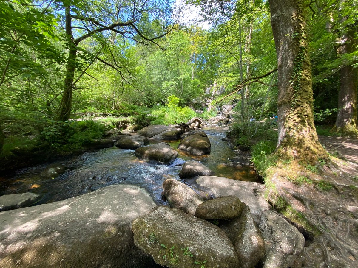 PXA Family Adventures ☀️🌳🌅

Exploring Becky Falls in Dartmoor National Park with the whole family 🙌 Such a beautiful walk and the office dogs loved going for a paddle in the water fall too!

#WhatWillYourNextAdventureBe #HappyAdventuring #Happy #Devon #BeckyFalls #Dartmoor