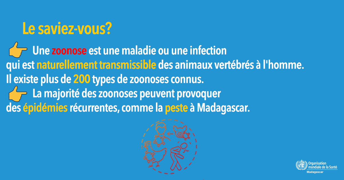 Ce 06 juillet est la🔸Journée mondiale des Zoonoses🔸

➡️ Une #zoonose est une maladie ou une infection qui est naturellement transmissible des animaux vertébrés à l'homme.

➡️ La majorité des zoonoses peuvent provoquer des #épidémies récurrentes, comme la #peste à Madagascar🇲🇬