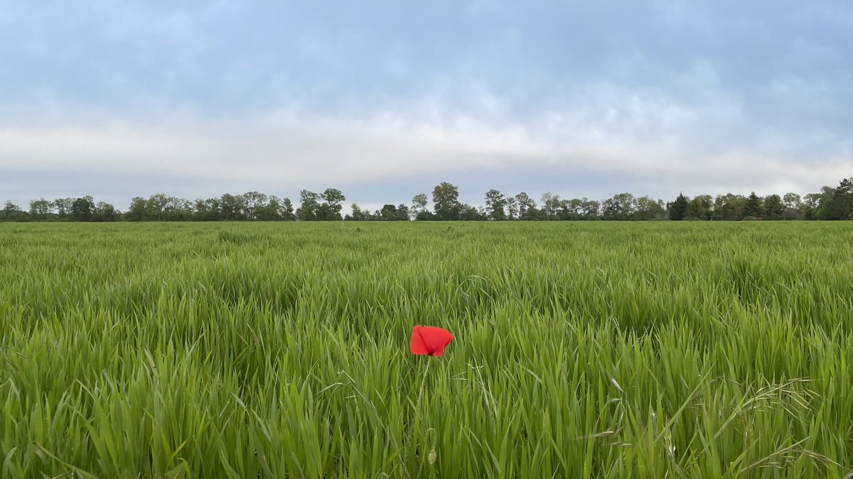 PatrickSchnebel's tweet photo. Sometimes it is just great to be different! #standout #bigdata https://t.co/cUPiGtmLNq