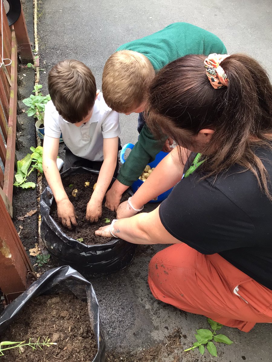 Hollinswood Primary tweet media