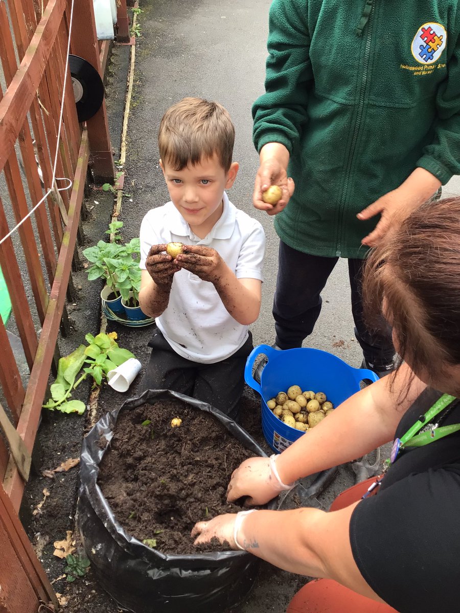 Hollinswood Primary tweet media