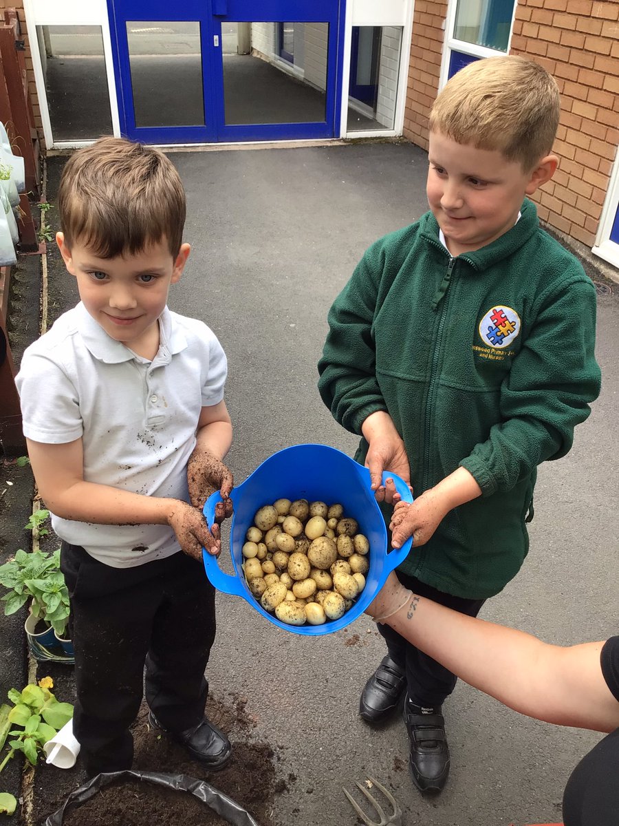 Hollinswood Primary tweet media