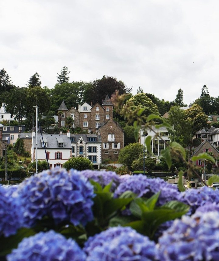 mar ༘⋆🌻 tweet media