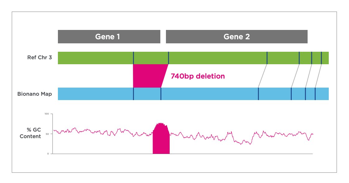 Bionano Optical Genome Mapping (OGM) identifies variants MISSED by short and long-read sequencing! A case of familial #cancer was studied for a decade but only Saphyr® could detect the large tandem repeat upstream of the oncogene. bit.ly/3hguCLs
#genomics #dna