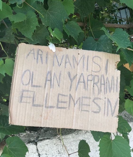 Arı namısı olan ellemez  😂
