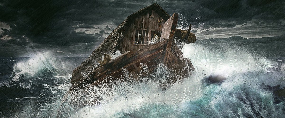 NOah’s@rk tweet media