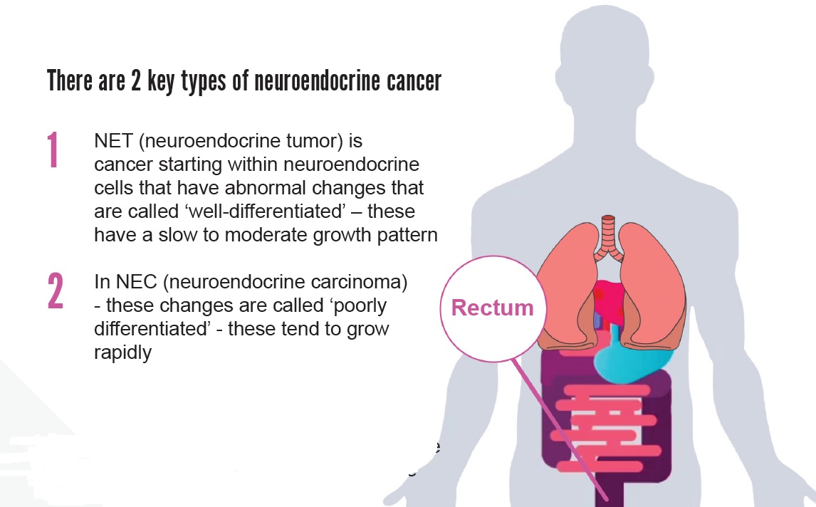 netcancerday tweet picture