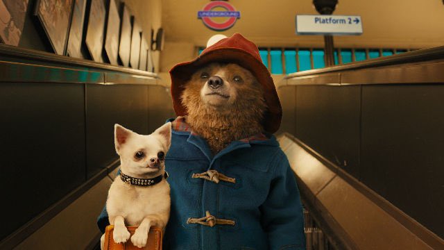 DiscussingFilm's tweet image. ‘PADDINGTON 3’ is set to begin filming in early 2022.

(Source: Deadline)