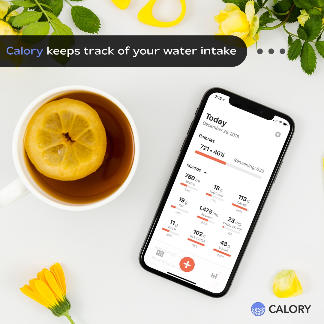 Calory_app's tweet image. Can’t keep track of your water intake? Don’t worry, we have got you covered for that too! The calory app not only keeps track of your dietary needs but also helps you track your every hydration level. Download today! (Link in bio)🔝  

#CaloryApp #Calorietracking