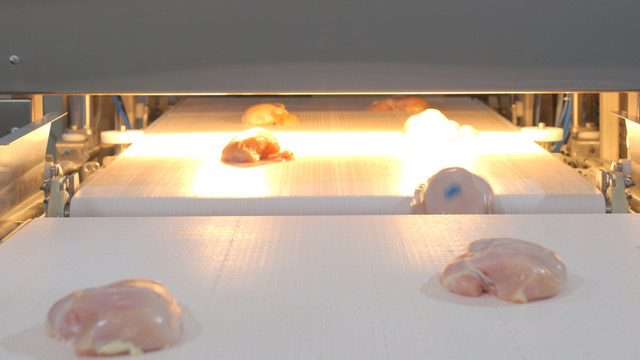 PPOptica's tweet image. It&apos;s #NationalFriedChickenDay!

Do you know what&apos;s in your fried chicken? PPO&apos;s Smart Imaging Systems can detect foreign materials like plastics and rubber before it&apos;s fried.

Learn how we work with #PoultryProcessors in this webinar - bit.ly/3qO2djh