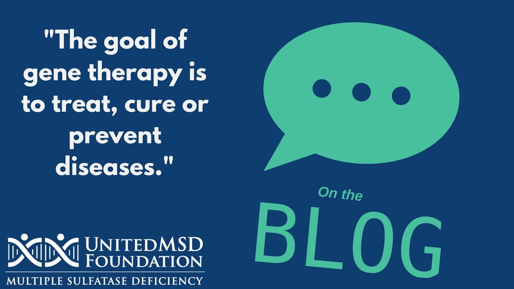There are many factors that make MSD a good candidate for Gene Therapy - including that we know what gene is affected! Read our blog to learn more: bit.ly/3AoKG6H #TogetherWeCan #CureMSD #MSD #MultipleSulfataseDeficiency #genetherapy