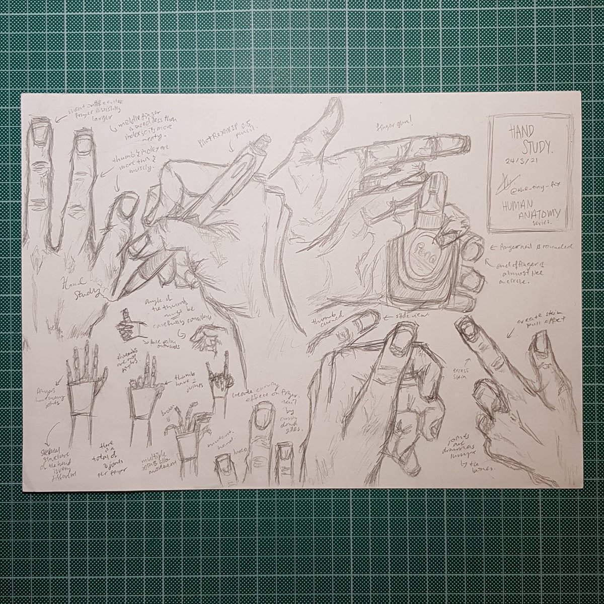 the_tiny_fox's tweet photo. A lil' something that I drew in January o(^▽^)o

Looking back, it wasn't that great... (T^T)

#art #sketch #sketches #drawings #draw #anatomy #anatomyhand #drawingart #illustrationart https://t.co/9iAOiWJxWq