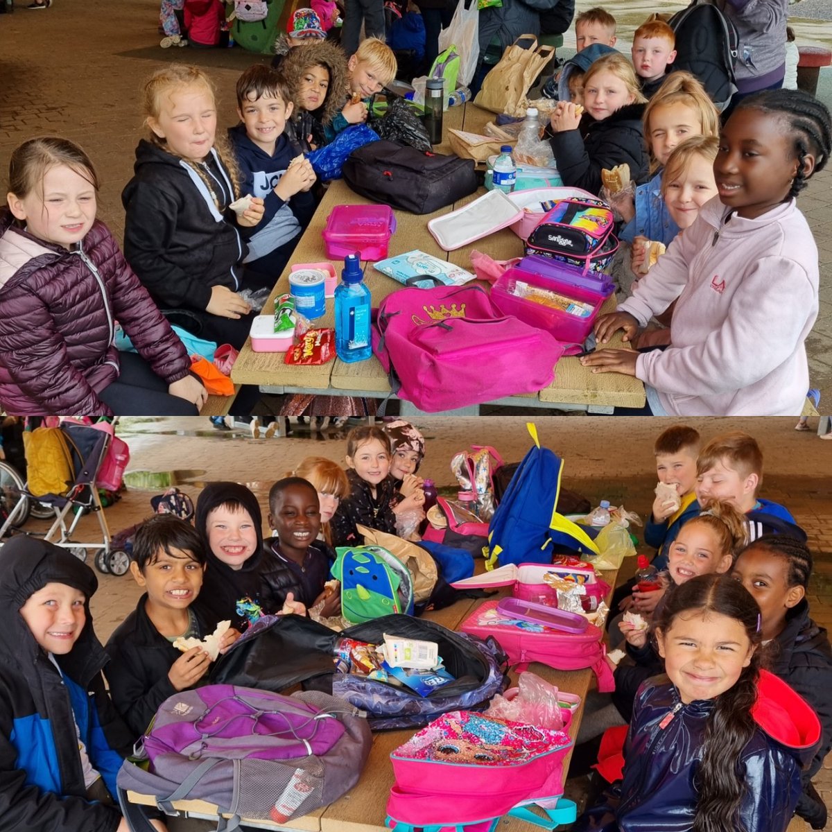 MissSmithPri's tweet photo. We have had the best day at @YorkshireWP today. We saw lots of animals and all of the children were brilliant. Lots of tired legs and slightly soggy children (we got caught in a downpour!) https://t.co/yMNpZ7CBOJ