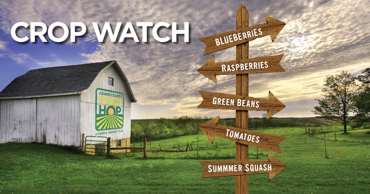 DestGettysburg's tweet photo. The Adams County Crop Hop features pick-your-own blueberries, raspberries and cherries! #crop2it

Download your passport 👉 https://t.co/nvIGaximWr https://t.co/aMpfiDyBNc
