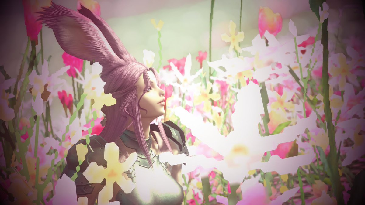 Marion_nanou's tweet photo. #PinkFlowers #PinkViera #LinoaHeart #FFXIV #GPOSERS #GShade https://t.co/4DjTx6VU2D