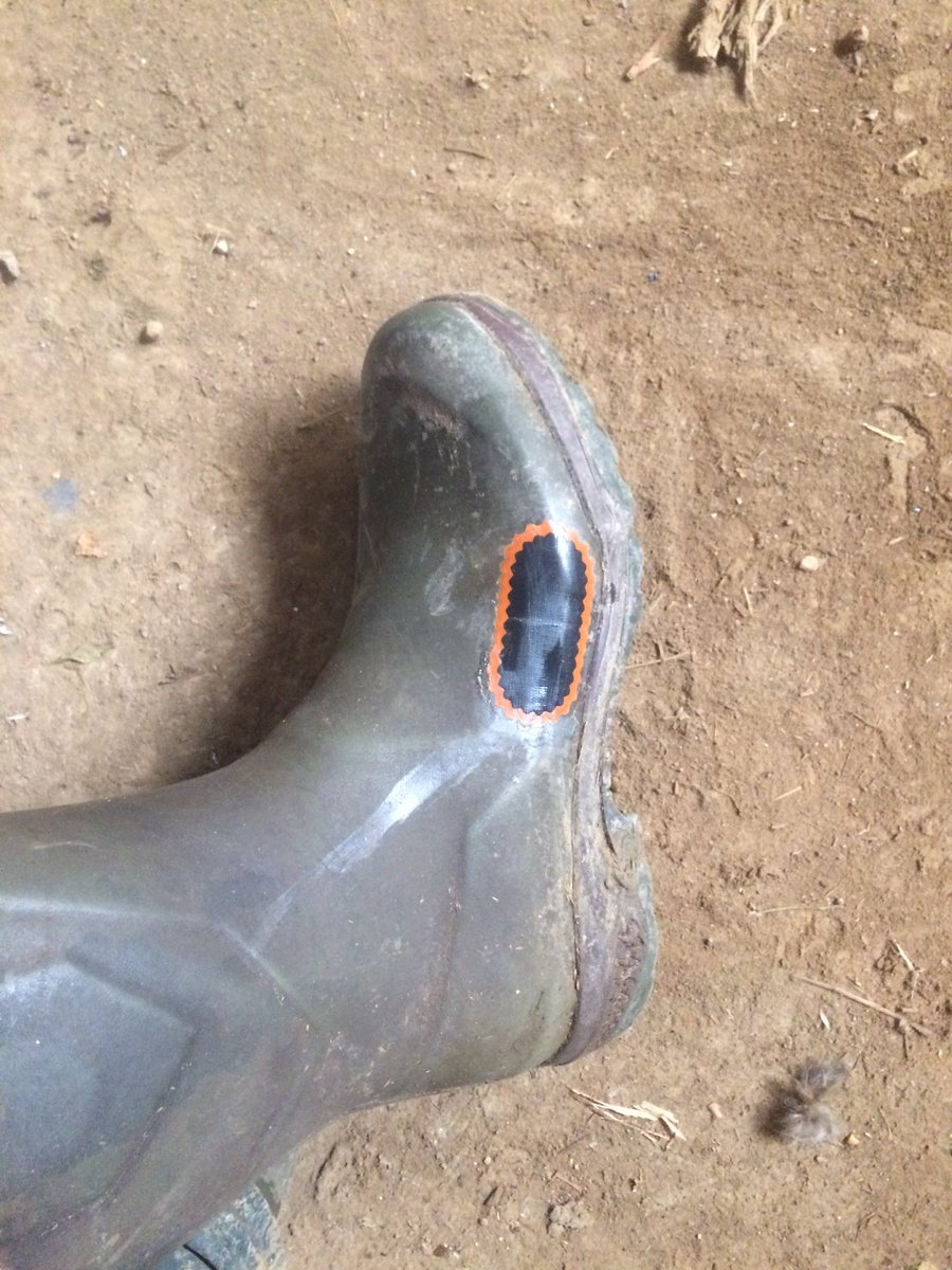 When it’s summer, and you still need wellies, and they spring a  leak! Will they make it to the Autumn...? #Farming