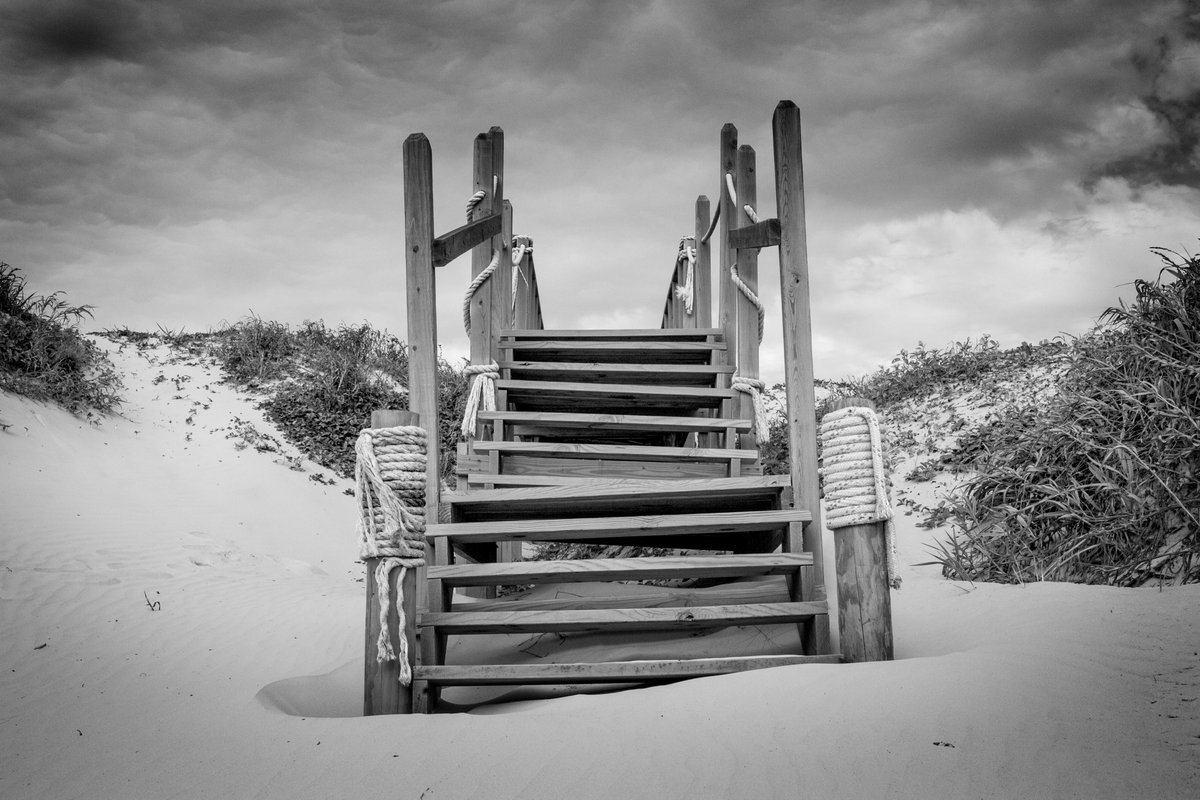 📸 AUCTION TIME AGAIN!🏖️ 

100% of Forever Royalties and 50% of the sale from this 1/1 black and white landscape will be split w/ <a href="/ArtsDAO/">NEAR Arts DAO</a> to support #NEARarts growth! 

<a href="/mintbase/">Mintbase</a> #NFT <a href="/NEARProtocol/">NEAR Protocol</a> $NEAR #landscape #blackandwhite #photography #coastal 
mintbase.io/thing/RmnmqWw3…