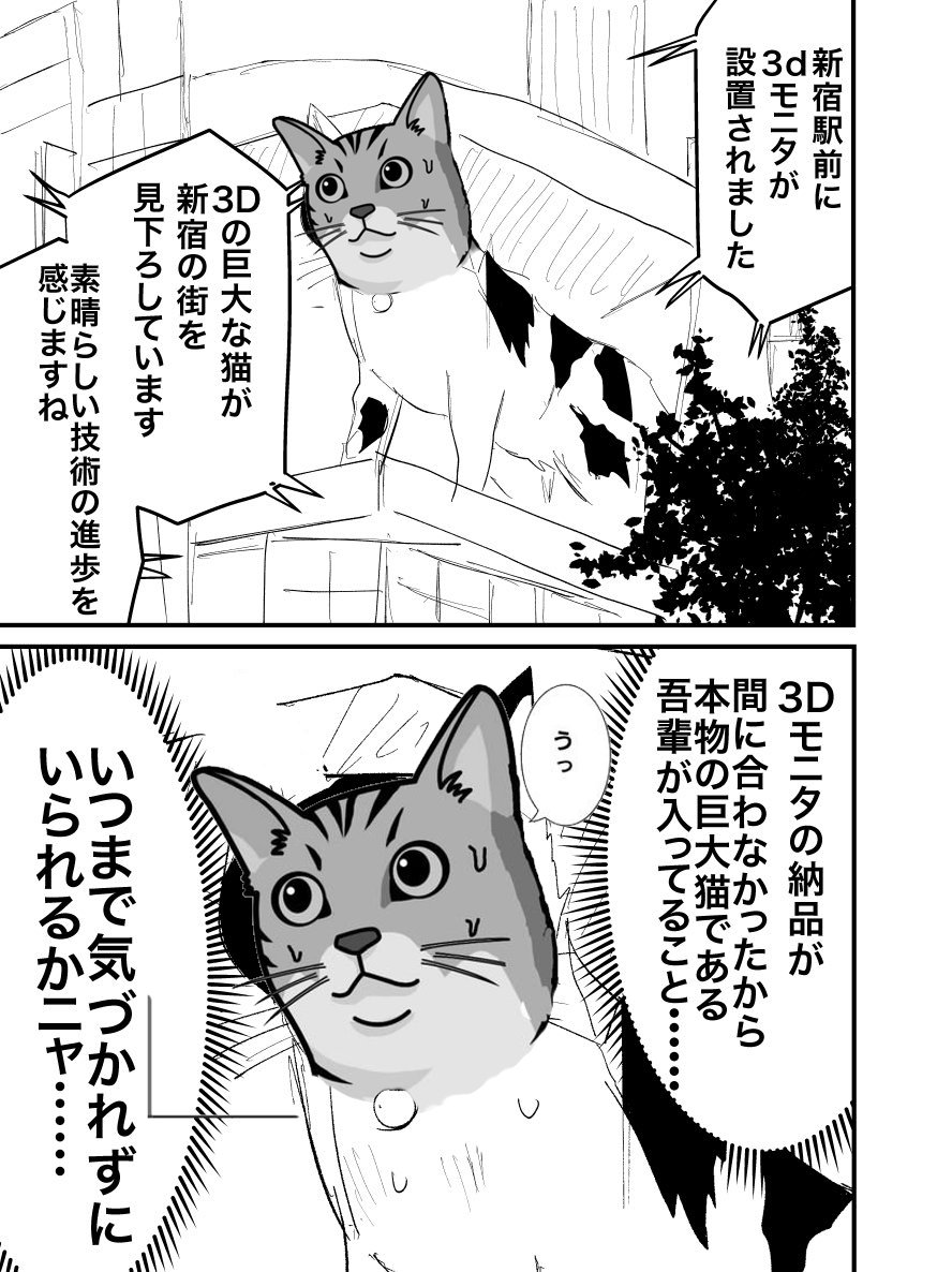 そうだったら面白い 新宿駅前の巨大猫 ３ｄモニタの納品が間に合わなくて本物の巨大猫が入っている 話題の画像プラス