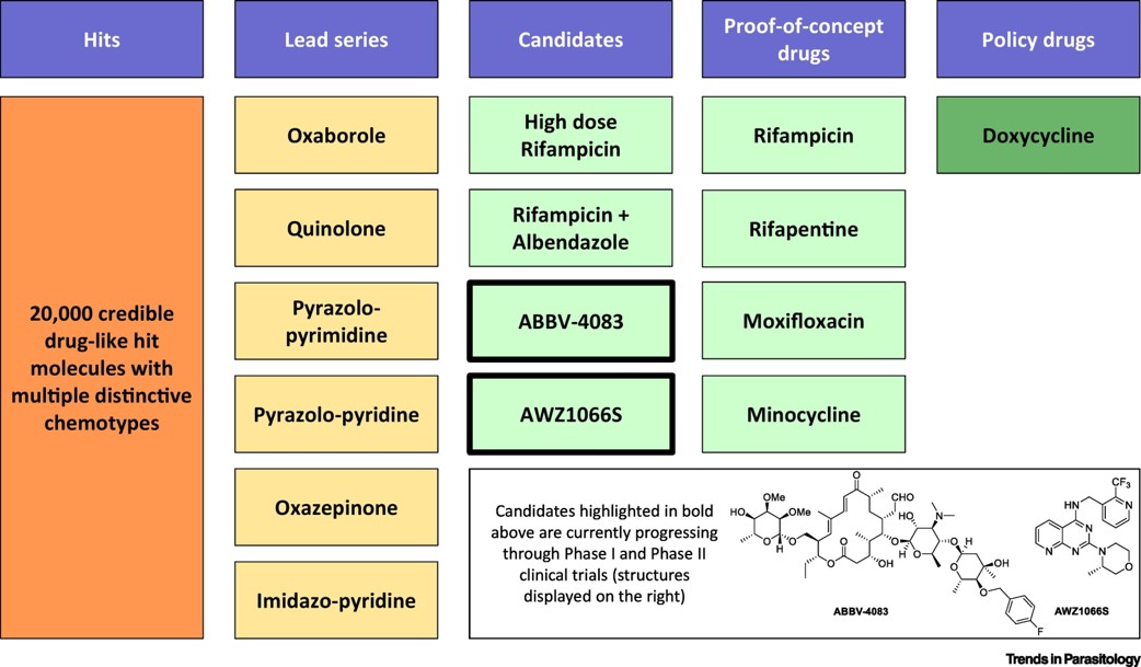 Trends in Parasitology (@trendsparasitol) on Twitter photo Drs <a href="/Johnston_KellyL/">Kelly Johnston</a> <a href="/drjosephturner/">Joe Turner</a> Mark Taylor & colleagues review anti-#Wolbachia drugs for #onchocerciasis & lymphatic #filariasis. <a href="/AWOL_Wolbachia/">Anti Wolbachia</a> <a href="/CNTD_LSTM/">Centre for Neglected Tropical Diseases (CNTD)</a> <a href="/LSTMnews/">LSTM</a> <a href="/LivUni/">University of Liverpool</a>LifeSci <a href="/livuniphyssci/">School of Physical Sciences</a> @LivUni <a href="/livuninews/">University of Liverpool News</a>
Free access at authors.elsevier.com/a/1dLQ95Eb1x7r… Drs <a href="/Johnston_KellyL/">Kelly Johnston</a> <a href="/drjosephturner/">Joe Turner</a> Mark Taylor & colleagues review anti-#Wolbachia drugs for #onchocerciasis & lymphatic #filariasis. <a href="/AWOL_Wolbachia/">Anti Wolbachia</a> <a href="/CNTD_LSTM/">Centre for Neglected Tropical Diseases (CNTD)</a> <a href="/LSTMnews/">LSTM</a> <a href="/LivUni/">University of Liverpool</a>LifeSci <a href="/livuniphyssci/">School of Physical Sciences</a> @LivUni <a href="/livuninews/">University of Liverpool News</a>
Free access at authors.elsevier.com/a/1dLQ95Eb1x7r…