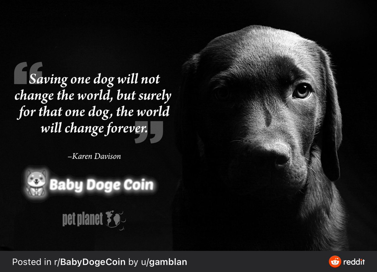 plutus_babydoge's tweet image. @BabyDogeCoin