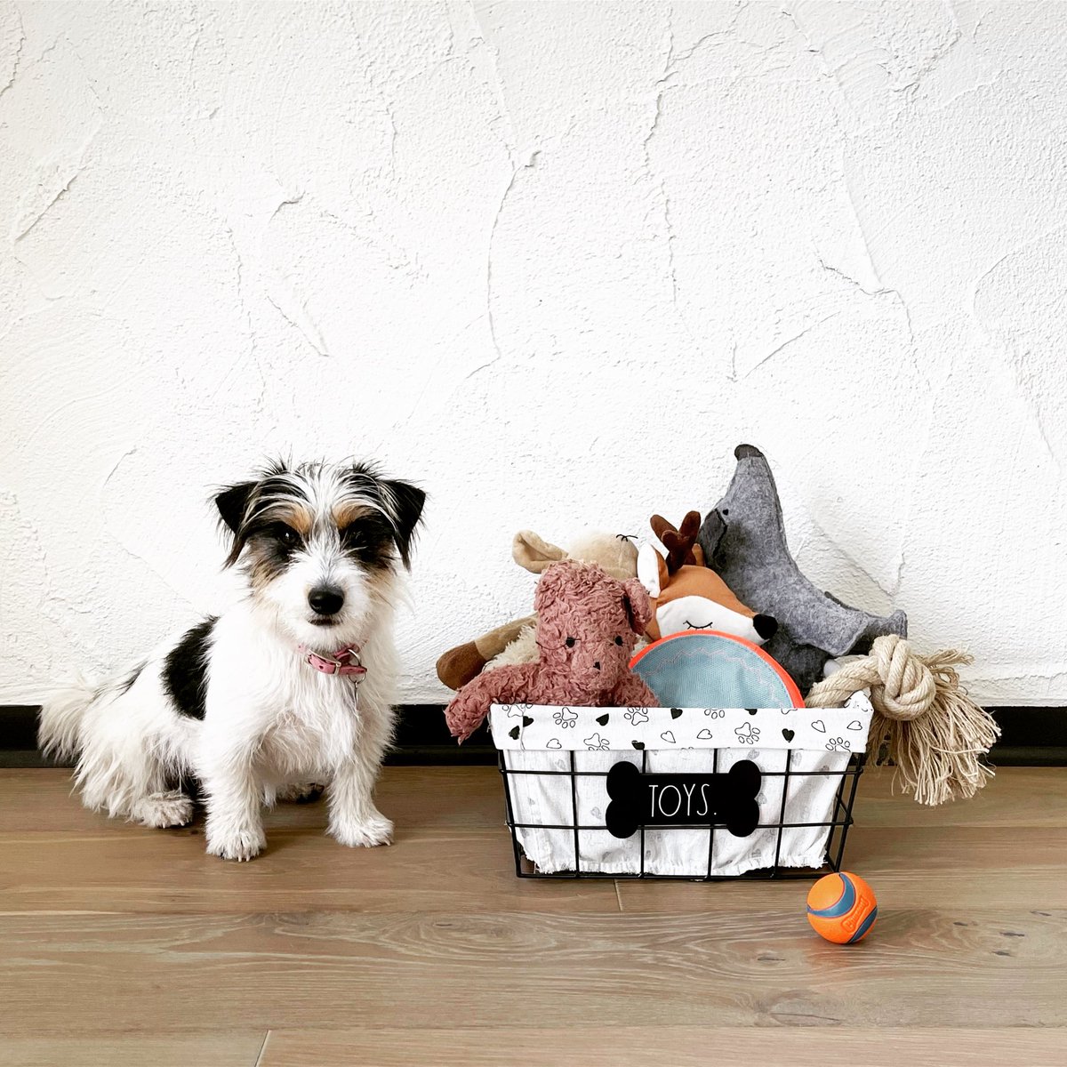 MIDGE loves being organized. and my new pet storage baskets are now available online ! 

amazon.com/dp/B097FC8F9L
