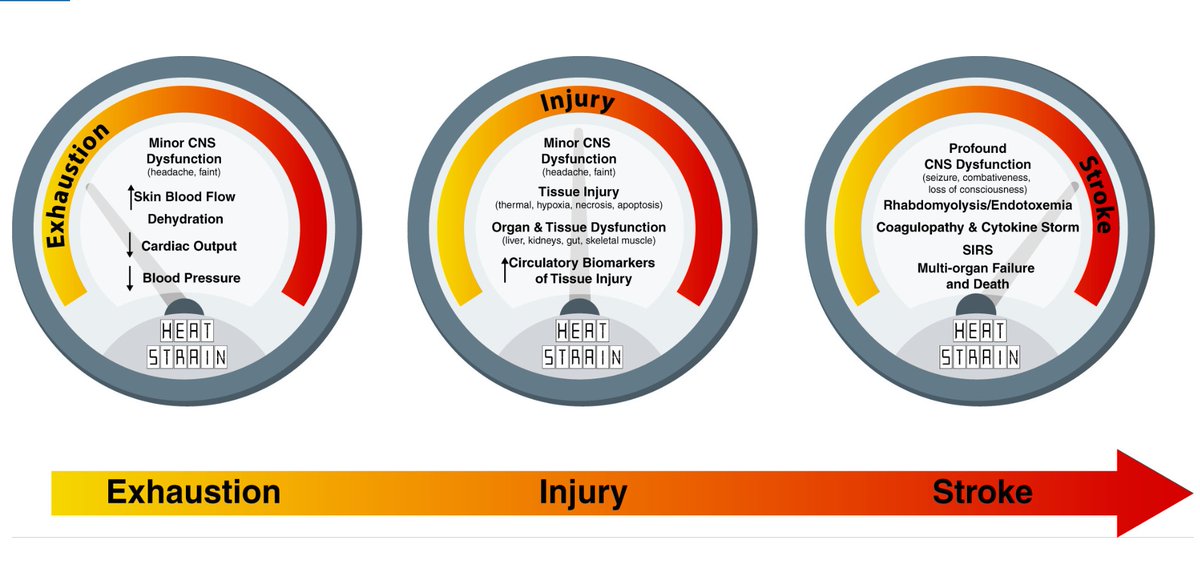 japplphysiol's tweet photo. #ImagesOfTheWeek: “Controversies in exertional heat stroke diagnosis, prevention, and treatment”
By: Orlando Laitano, et al.
https://t.co/N8r3pQ48yY
#JAPPL #HeatStress @olaitano https://t.co/VMXGuiWb0e