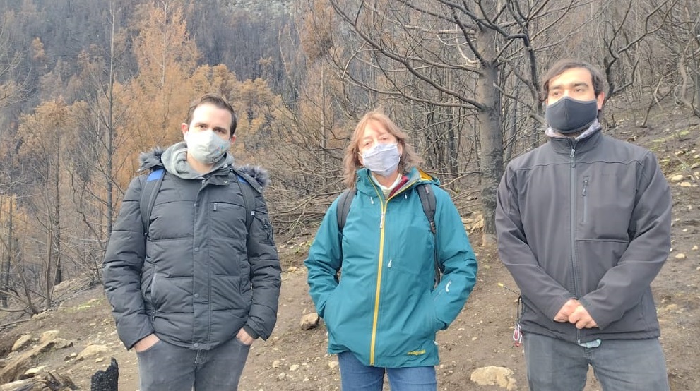 Municipio Trevelin (Chubut) tweet media