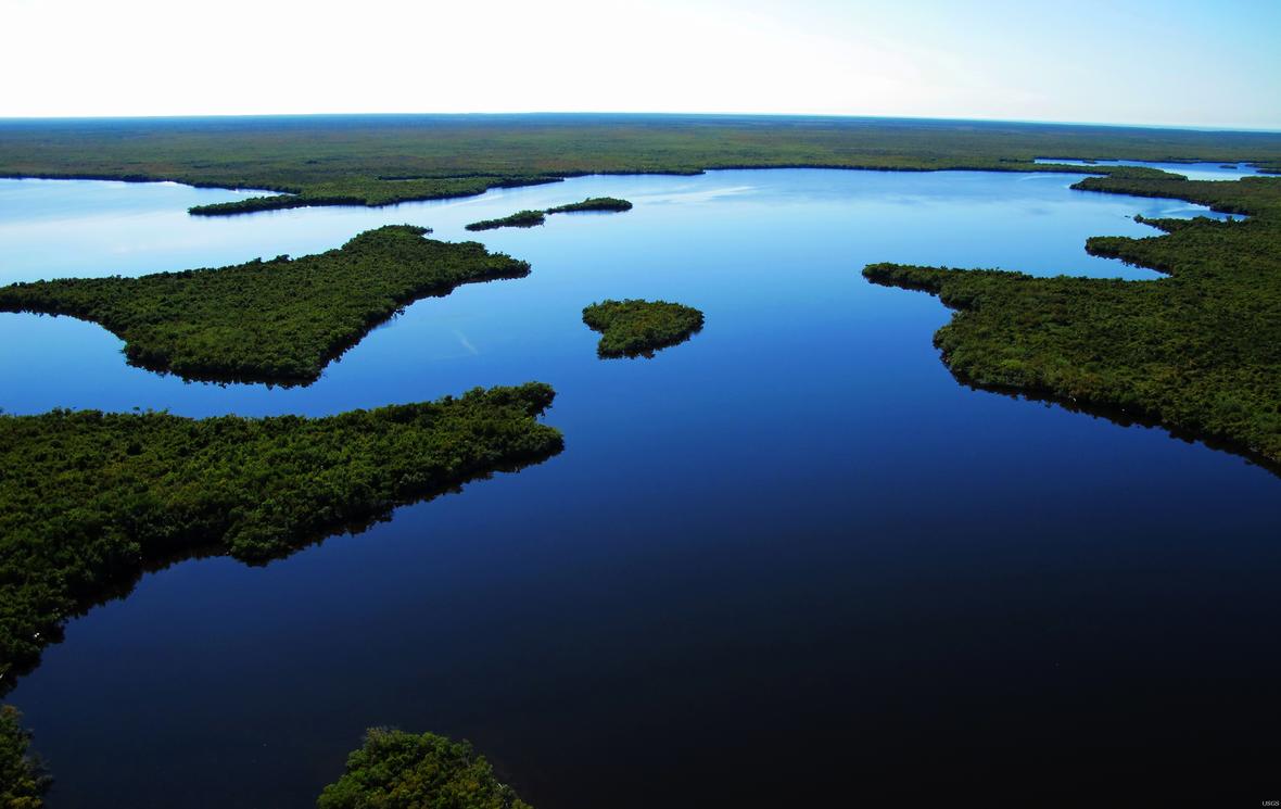Aerial view of wetlands and water
