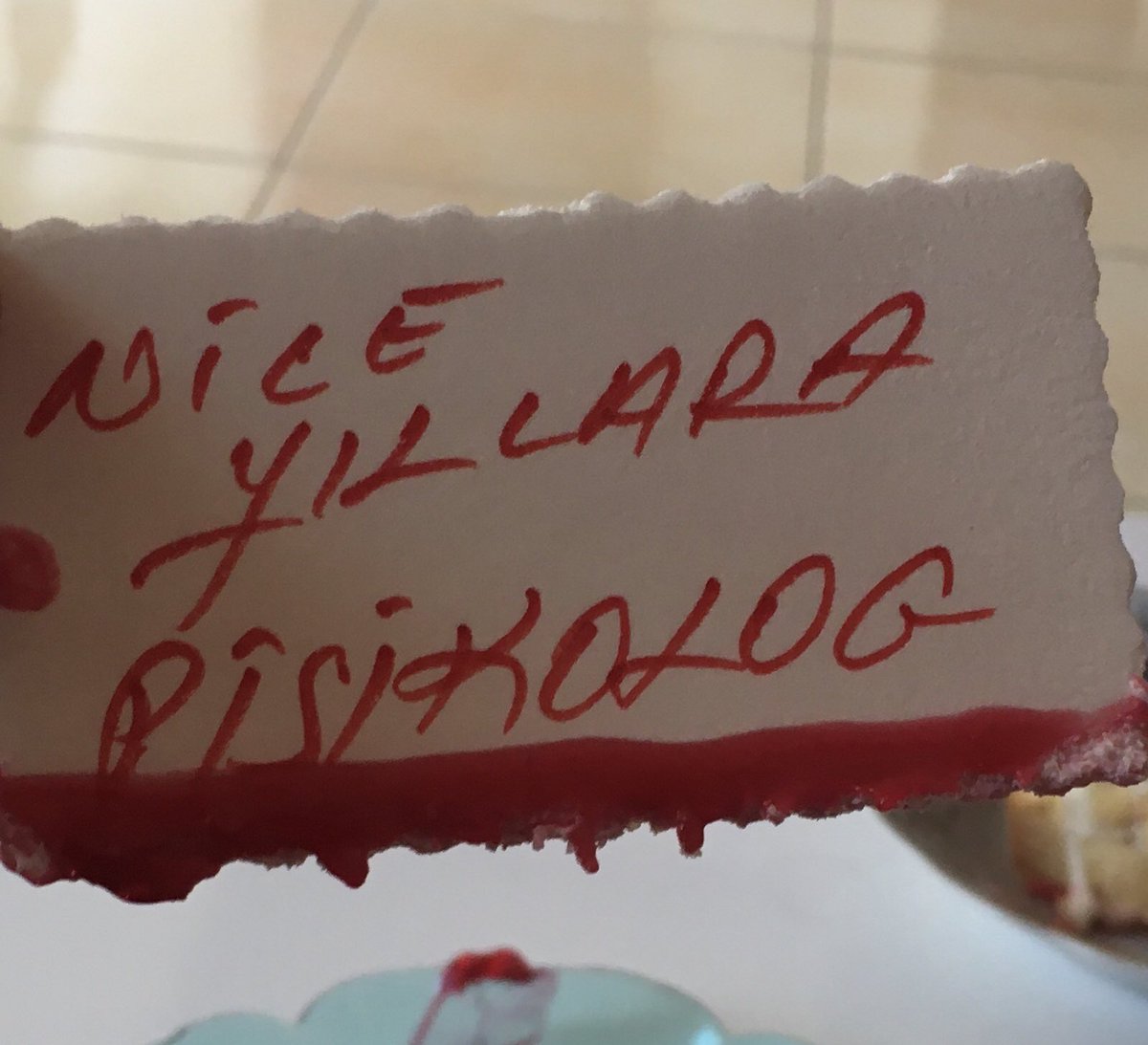 Doğum günü kutlamalarım hep ironik olmuştur...