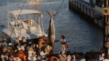 FishTIFT's tweet image. Tossing it back to the 47th T.I.F.T. while we count down the days to the 81st! Visit tift.org for complete information on events and registration. #TIFT #RGV #SouthTexas #GulfofMexico #TexasGulfCoast #SouthPadreIsland