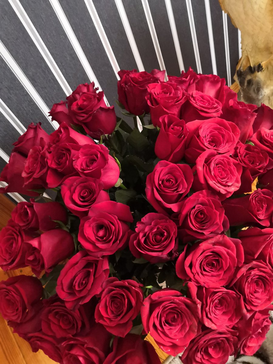 sumashedshaya99's tweet photo. -Мам, всё для тебя)) https://t.co/jWlC4rwiRl