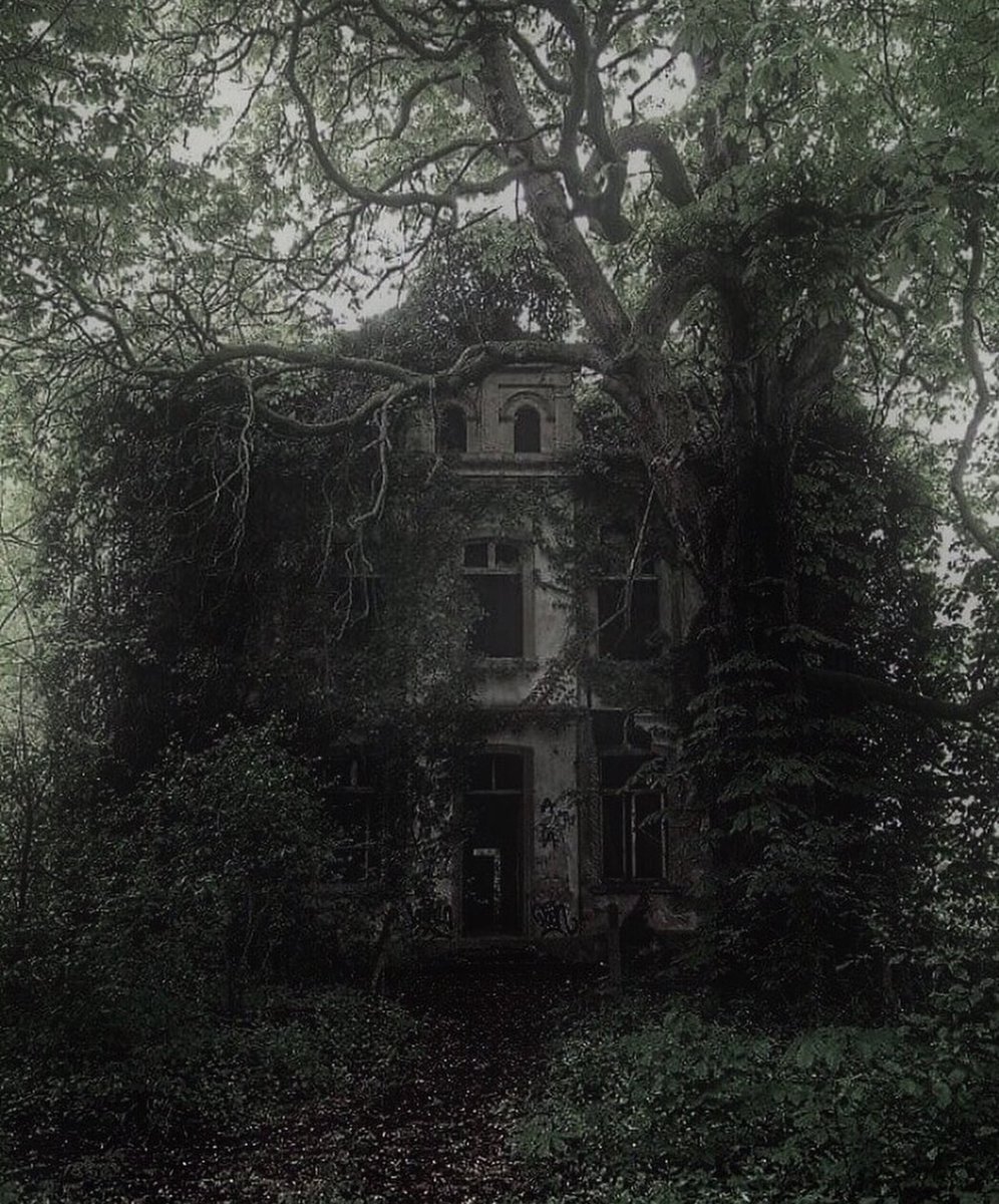 Anyone?

#forgottenplaces #haunted #lostinthewoods