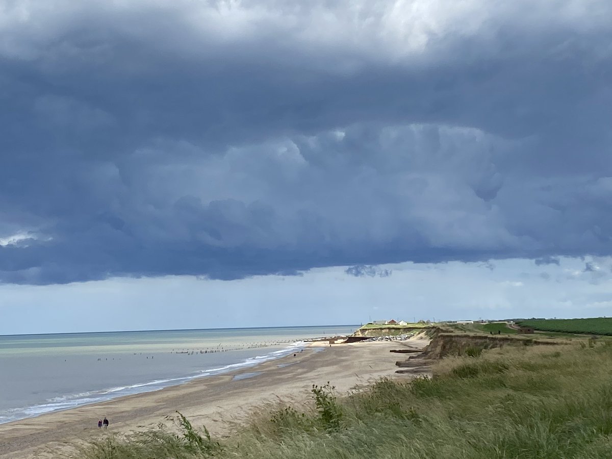 Michelle Gregg 🐝 tweet media