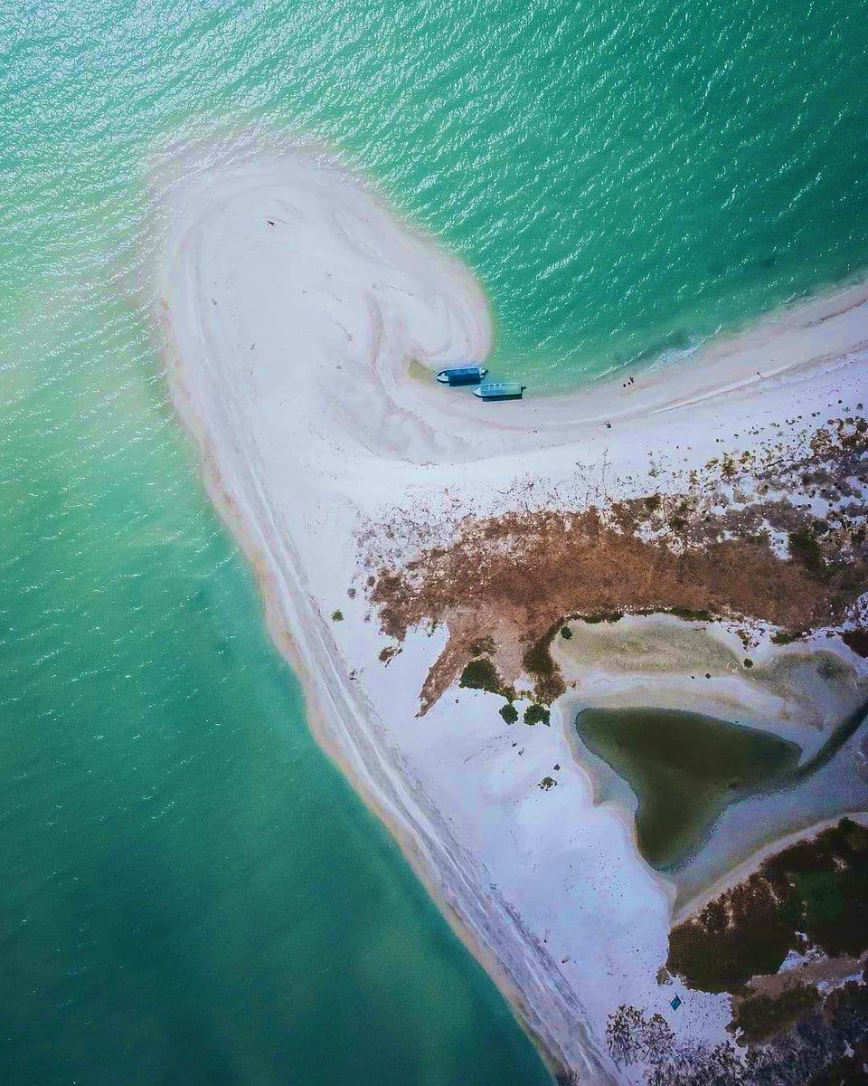 CampecheTravel's tweet photo. 𖣘✨𝑷𝒖𝒆𝒃𝒍𝒐 𝒎á𝒈𝒊𝒄𝒐 𝒅𝒆𝒍 𝒅í𝒂✨𖣘
#IslaAguada #Campeche
📌𝗔𝘁𝗿𝗮𝗰𝘁𝗶𝘃𝗼𝘀 𝗾𝘂𝗲 𝗻𝗼 𝘁𝗲 𝗽𝘂𝗲𝗱𝗲𝘀 𝗽𝗲𝗿𝗱𝗲𝗿:
🏦 El Museo Arqueología Subacuática
🌴 Paseo en lancha por Cayo Arena
🍤 Disfruta la gastronomía
🍃 Admira los delfines
📸 #jesusparedes https://t.co/z5yI246DvL