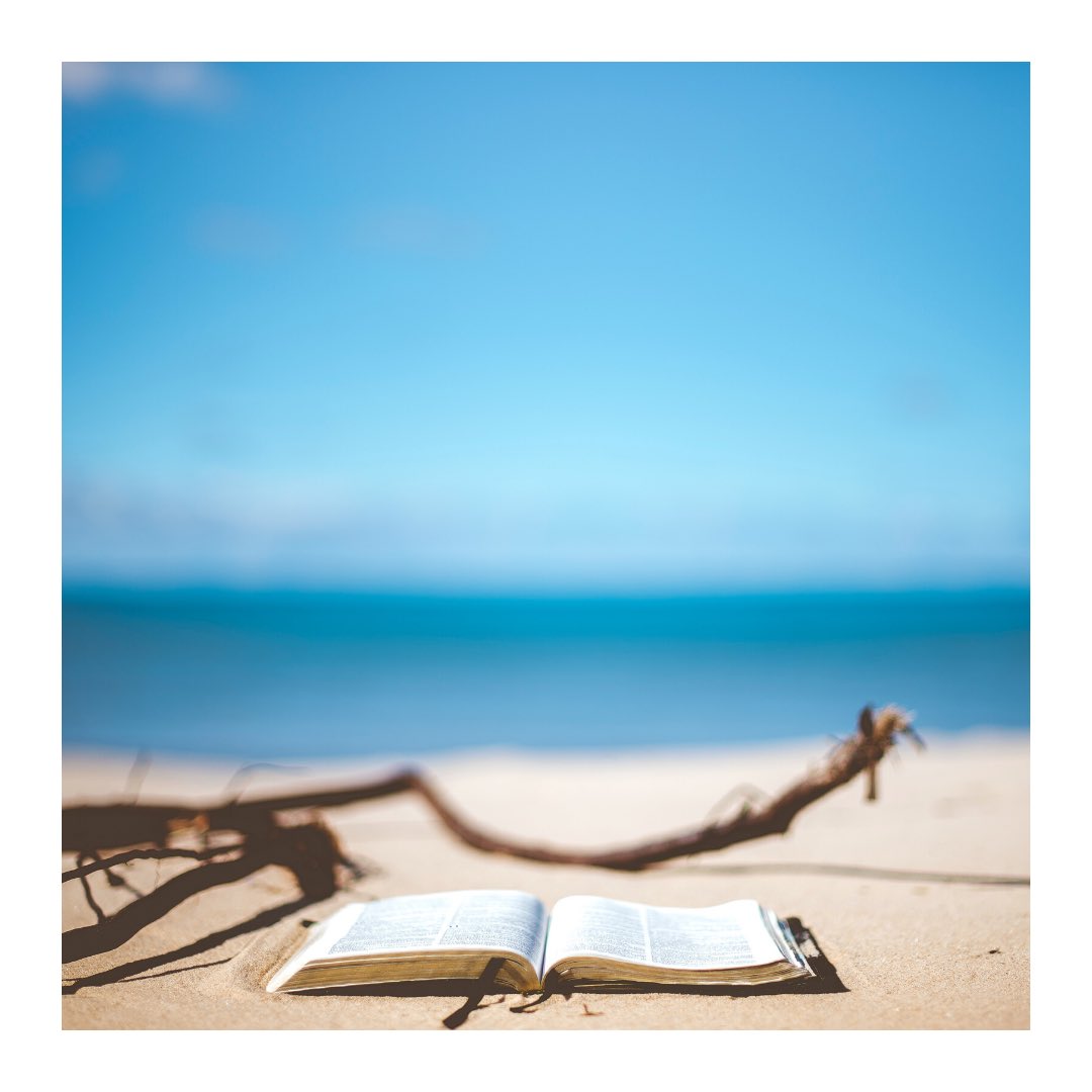 24Savvy's tweet photo. It’s part 3 of our Savvy Summer Reading Series &amp; this month we’re bringing you books from the Mystery/Thriller genre. Learn what our favorite 5 titles are now at https://t.co/bOBrdHm2VH!  
 
📸 by: Ben White on Unsplash

#summerreading #beachreads #mystery #thriller #bookrecs https://t.co/bRglhpgVKY