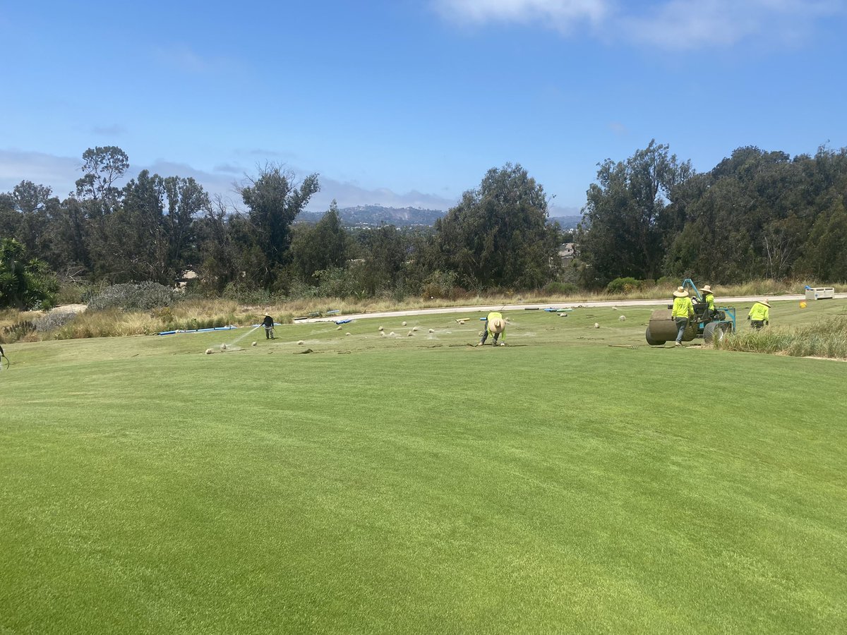 Finishing up with Platinum TE paspalum at Montecito Club! Water saving, gorgeous color, and golfers love the playability ⛳️👍! #turfgrass #platinumte #montecitoclub <a href="/atlasturf/">Atlas Turf</a>